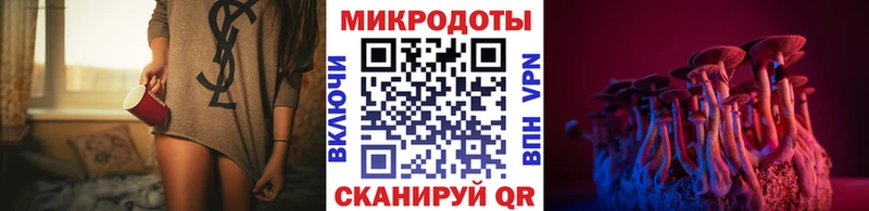 дарнет шоп  Казань  кракен   Псилоцибиновые грибы прущие грибы 